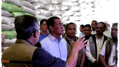 El Nino Godzilla Mengintai, Indonesia Pasang Perisai Pangan Terkuatnya