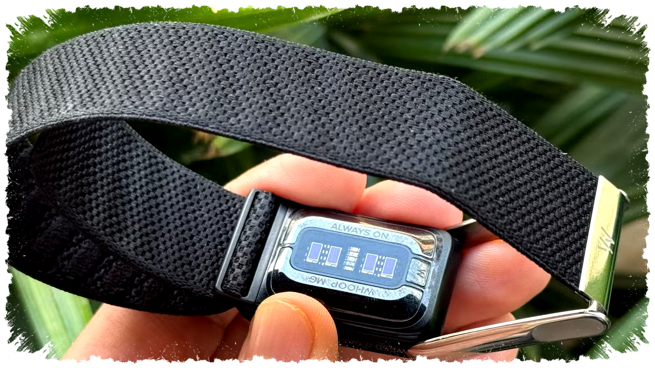 Fitbit Buang Layar demi Fokus, Gelang Mirip Whoop Ini Akhirnya Nyata Fitbit Buang Layar demi Fokus, Gelang Mirip Whoop Ini Akhirnya Nyata