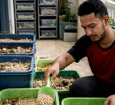 Fresh Graduate Tak Harus Nganggur, 9 Usaha Ternak Modal Tipis Ini Panennya Ngebut