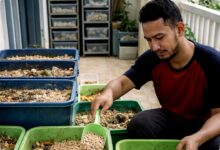 Fresh Graduate Tak Harus Nganggur, 9 Usaha Ternak Modal Tipis Ini Panennya Ngebut