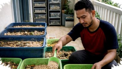 Fresh Graduate Tak Harus Nganggur, 9 Usaha Ternak Modal Tipis Ini Panennya Ngebut