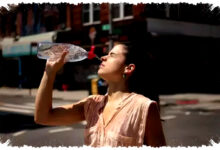 Gelombang Panas Menguji Tubuh, 10 Cara Cegah Dehidrasi Saat Kemarau Melanda