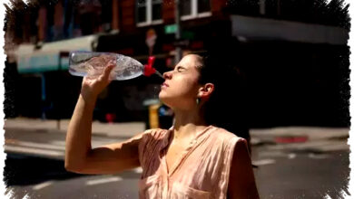 Gelombang Panas Menguji Tubuh, 10 Cara Cegah Dehidrasi Saat Kemarau Melanda