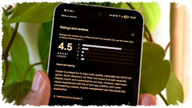 Google Play Store Pangkas Filter Review Paling Berguna, Kini Suara Pengguna Satu Ponsel Hilang