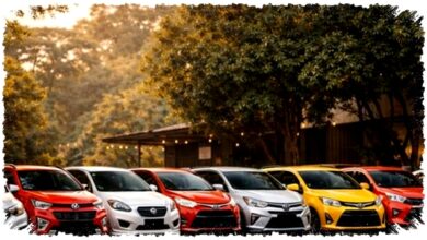 Harga BBM Naik, Daftar Mobil LCGC Irit Mulai Rp140 Jutaan Ini Layak Dilirik Harga BBM Naik, Daftar Mobil LCGC Irit Mulai Rp140 Jutaan Ini Layak Dilirik