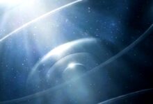 Honor 600 Terus Menggoda, Sinyal Upgrade Besar dengan Desain Tipis dan Kamera Malam Unggulan