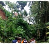 Hujan Deras Picu Longsor Dan Angin Kencang Di Tulungagung, BPBD Kejar Penanganan Cepat Hujan Deras Picu Longsor Dan Angin Kencang Di Tulungagung, BPBD Kejar Penanganan Cepat