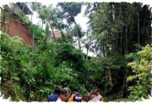 Hujan Deras Picu Longsor Dan Angin Kencang Di Tulungagung, BPBD Kejar Penanganan Cepat