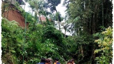 Hujan Deras Picu Longsor Dan Angin Kencang Di Tulungagung, BPBD Kejar Penanganan Cepat