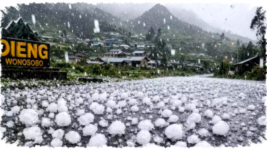 Hujan Es Menyambar Dieng, BMKG Ungkap Proses Alamiah di Balik Fenomena Langka Itu