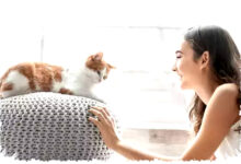 Jamur Mematikan Ini Menular Lewat Kucing, Ancaman Baru di Uruguay Jamur Mematikan Ini Menular Lewat Kucing, Ancaman Baru di Uruguay