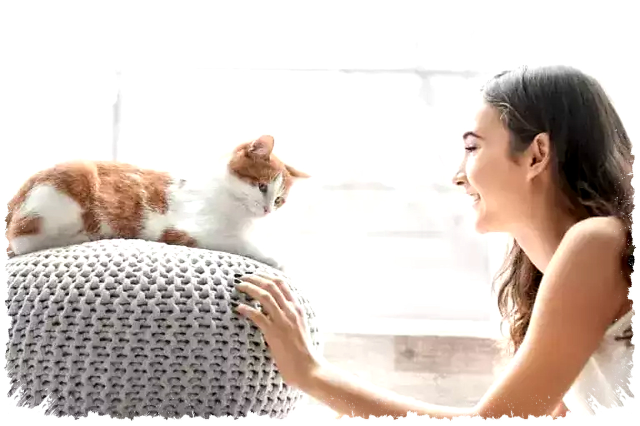 Jamur Mematikan Ini Menular Lewat Kucing, Ancaman Baru di Uruguay Jamur Mematikan Ini Menular Lewat Kucing, Ancaman Baru di Uruguay