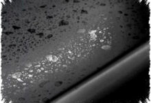 Jamur di Bodi Mobil Jangan Dibiarkan, 4 Bahan Rumahan Ini Bisa Mengangkatnya Jamur di Bodi Mobil Jangan Dibiarkan, 4 Bahan Rumahan Ini Bisa Mengangkatnya