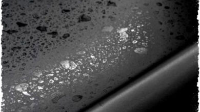 Jamur di Bodi Mobil Jangan Dibiarkan, 4 Bahan Rumahan Ini Bisa Mengangkatnya Jamur di Bodi Mobil Jangan Dibiarkan, 4 Bahan Rumahan Ini Bisa Mengangkatnya