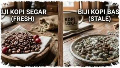 Jangan Asal Seduh, 7 Tanda Biji Kopi Sudah Basi dan Cara Menjaganya Tetap Segar Jangan Asal Seduh, 7 Tanda Biji Kopi Sudah Basi dan Cara Menjaganya Tetap Segar