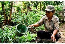 Jangan Buru-Buru Buang, 10 Barang Bekas Dapur Ini Efektif Menyiram Tanaman Rumah