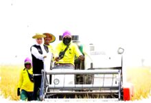 Jatim Siaga Kemarau 2026, Khofifah Instruksikan Mitigasi Pangan Lebih Awal