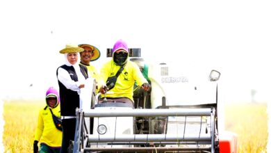 Jatim Siaga Kemarau 2026, Khofifah Instruksikan Mitigasi Pangan Lebih Awal