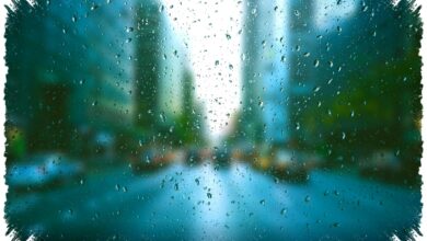 Kabut Pagi Bandung Menyimpan Perubahan Ekstrem, Sore Bisa Berujung Hujan Ringan Kabut Pagi Bandung Menyimpan Perubahan Ekstrem, Sore Bisa Berujung Hujan Ringan