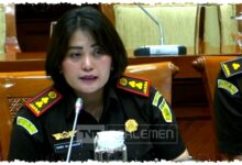 Kajari Karo Akui Salah di Depan Komisi III, Kasus Amsal Sitepu Jadi Ujian Integritas