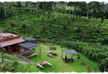 Kampung Koboi Tugu Selatan, Desa Yang Naik Kelas Lewat Kuda, Susu, Dan Wisata Lokal