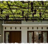 Kanopi Buah Merambat Bukan Sekadar Peneduh, 9 Ide yang Bikin Rumah Lebih Sejuk Sekaligus Panen