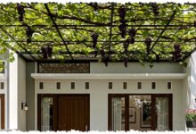 Kanopi Buah Merambat Bukan Sekadar Peneduh, 9 Ide yang Bikin Rumah Lebih Sejuk Sekaligus Panen