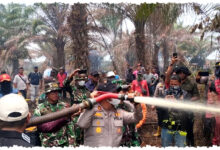Karhutla 500 Hektare Terbongkar, Polres Pelalawan Tangkap Pembakar Lahan Gambut