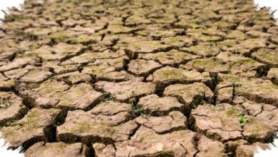 Kemarau Jawa Tengah Mulai April 2026, Ini Wilayah Yang Lebih Dulu Masuk Musim Kering