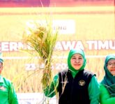 Kemarau Mengintai Produksi Pangan Jatim, Khofifah Minta Kepala Daerah Bergerak Cepat