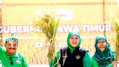 Kemarau Mengintai Produksi Pangan Jatim, Khofifah Minta Kepala Daerah Bergerak Cepat
