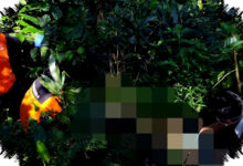 Kerangka Di Perbukitan Pati Ditemukan, Identitas Korban Masih Misterius