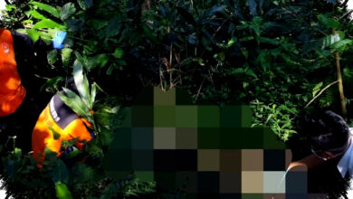 Kerangka Di Perbukitan Pati Ditemukan, Identitas Korban Masih Misterius