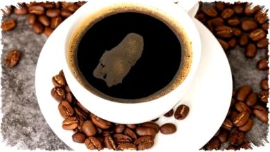 Kopi Hitam Pagi Hari Bukan Cuma Melek, Bisa Pangkas Kalori dan Tekan Lapar Lebih Lama Kopi Hitam Pagi Hari Bukan Cuma Melek, Bisa Pangkas Kalori dan Tekan Lapar Lebih Lama