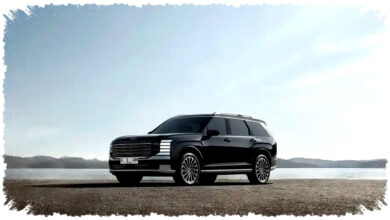 Kursi Palisade Renggut Nyawa Balita, Hyundai Langsung Tarik Palisade Lewat Recall