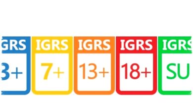 Label IGRS Raib Dari Steam, Self-Declare Yang Dipertanyakan Komunitas Gamer Label IGRS Raib Dari Steam, Self-Declare Yang Dipertanyakan Komunitas Gamer