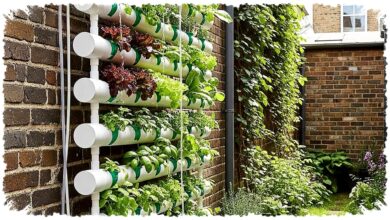 Lahan Cuma Sejengkal, Pipa PVC Ini Bisa Panen Selada 3–4 Minggu di Rumah Kota Lahan Cuma Sejengkal, Pipa PVC Ini Bisa Panen Selada 3–4 Minggu di Rumah Kota