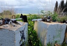 Lebanon Dibayangi Serangan Israel, Warga Israel Utara Menggantungkan Harapan Pada Zona Buffer