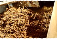 Limbah Pabrik Bir Menjadi Bioplastik, Prototipenya Hampir Siap Masuk Pasar