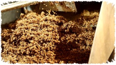 Limbah Pabrik Bir Menjadi Bioplastik, Prototipenya Hampir Siap Masuk Pasar