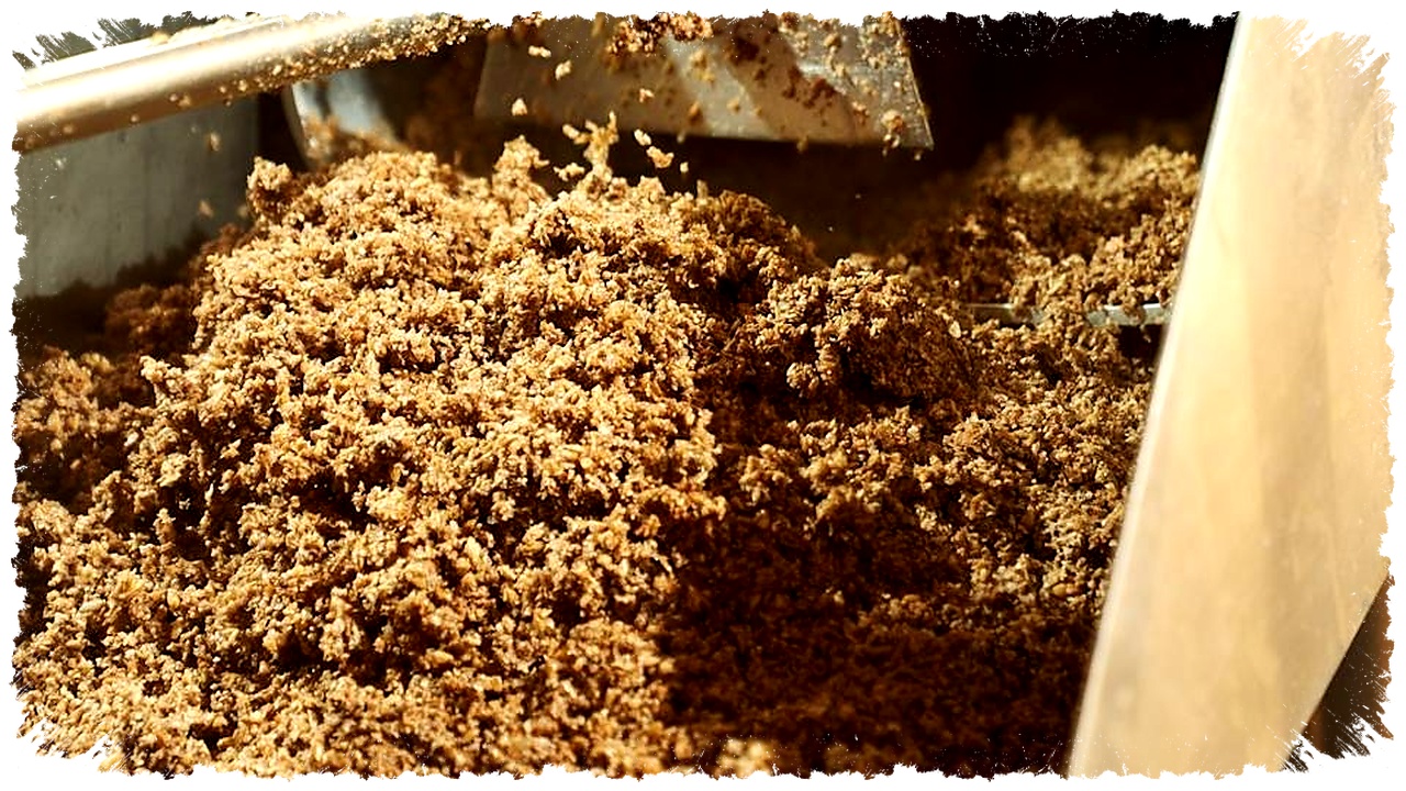 Limbah Pabrik Bir Menjadi Bioplastik, Prototipenya Hampir Siap Masuk Pasar