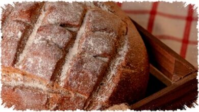 Makan Sourdough Setiap Hari Tak Selalu Sehat, Pencernaan Bisa Membaik atau Malah Terganggu