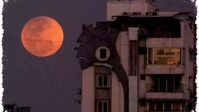 Malam Ini Pink Moon Muncul, Cara Melihatnya Tanpa Alat Bantu di Langit Indonesia Malam Ini Pink Moon Muncul, Cara Melihatnya Tanpa Alat Bantu di Langit Indonesia