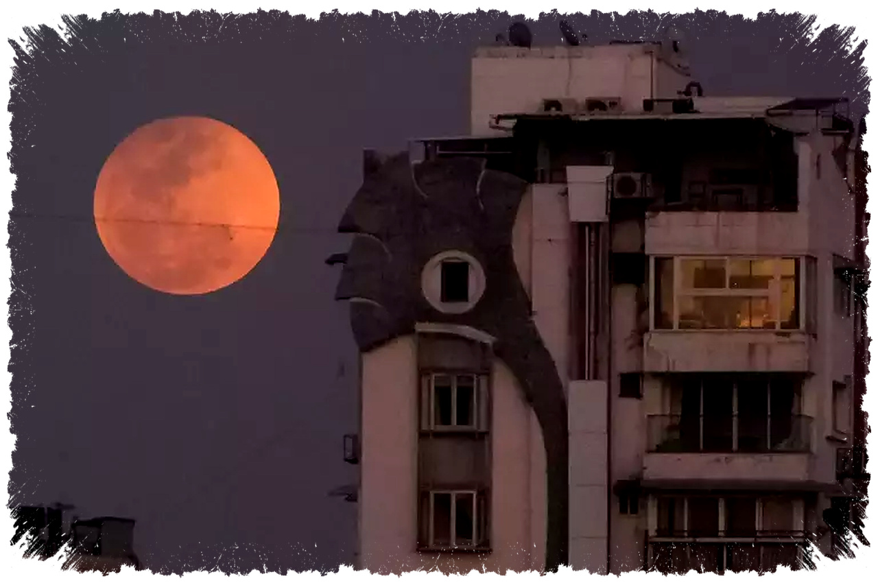 Malam Ini Pink Moon Muncul, Cara Melihatnya Tanpa Alat Bantu di Langit Indonesia