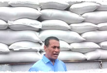 Mentan Minta Pemda Siaga Kekeringan El Nino, Pemetaan Lahan Jadi Kunci