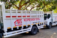 Menteri Koperasi Dorong Mobil Produksi RI Untuk Kopdes, Implikasi Impor India Jadi Sorotan Industri