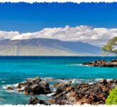 Microsoft Pamer Taskbar Vertikal Windows 11, Videonya Mendadak Dihapus