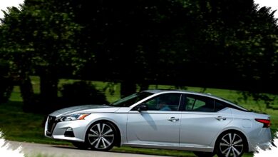 Mobil Biasa Justru Paling Dicuri, Daftar Ini Mengguncang Logika Pengemudi