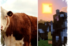Mojang Sewa Aktor Suara Hewan Asli, Rahasia Update Minecraft Ini Ternyata Cow Whisperer