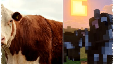 Mojang Sewa Aktor Suara Hewan Asli, Rahasia Update Minecraft Ini Ternyata Cow Whisperer